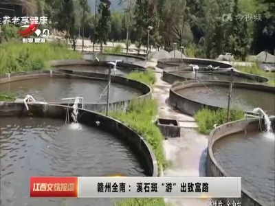 赣州全南：溪石斑“游”出致富路