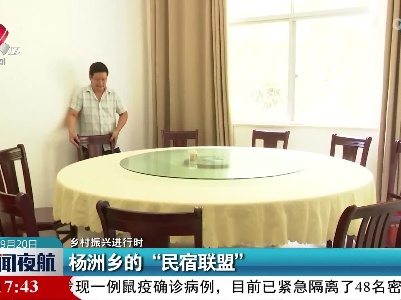 【乡村振兴进行时】杨洲乡的“民宿联盟”