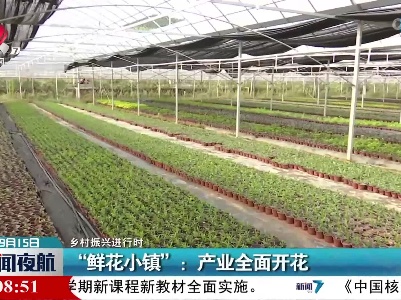 【乡村振兴进行时】“鲜花小镇”：产业全面开花