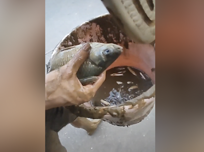 江西一高校男生在宿舍煮鲫鱼豆腐汤，消防员“顺着网线”找上门！