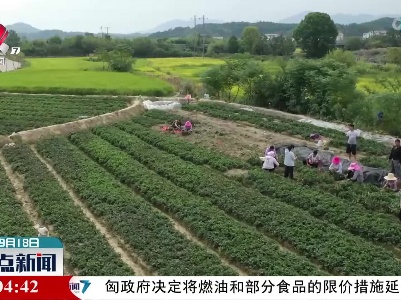 整点新闻20220918 12:00
