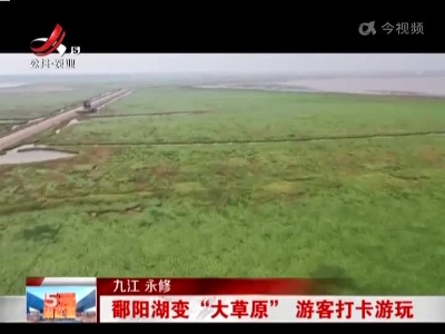 九江永修：鄱阳湖变“大草原” 游客打卡游玩