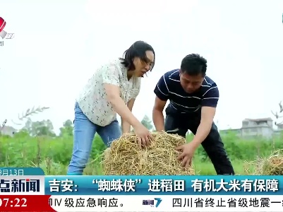吉安：“蜘蛛侠”进稻田 有机大米有保障