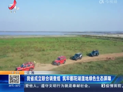 江西：我省成立联合调查组 筑牢鄱阳湖湿地绿色生态屏障