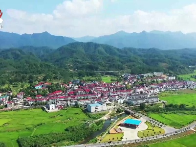 【奋进新征程 建功新时代】武宁：端起生态“金饭碗” 做大“金山银山”经济价值