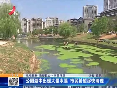 【急难愁盼 我帮你办】南昌湾里：公园湖中出现大量水藻 市民希望尽快清理