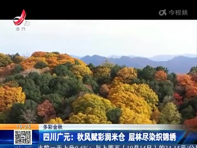 【多彩金秋】四川广元：秋风赋彩润米仓 层林尽染织锦绣