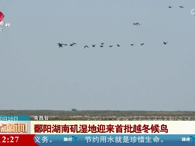 鄱阳湖南矶湿地迎来首批越冬候鸟