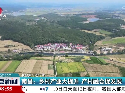 【乡村振兴进行时】南昌：乡村产业大提升 产村融合促发展