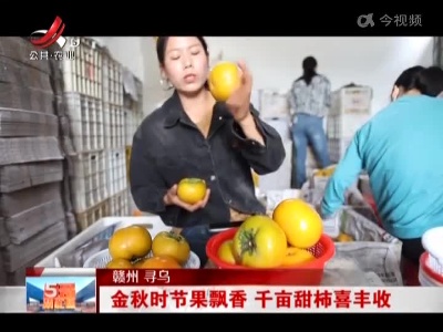 五哥帮忙团20221023