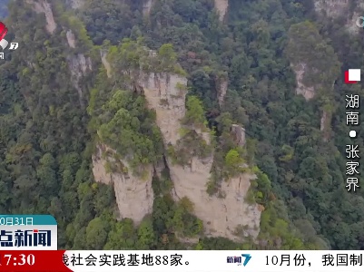深秋时节 带你遇见“醉”美秋天