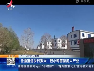 【二十大时光】南昌：全面推进乡村振兴 把小鸭苗做成大产业