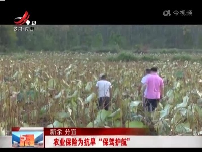 新余分宜：农业保险为抗旱“保驾护航”