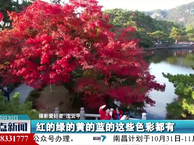 秋色醉远山 庐山植物园开启第六届红叶节