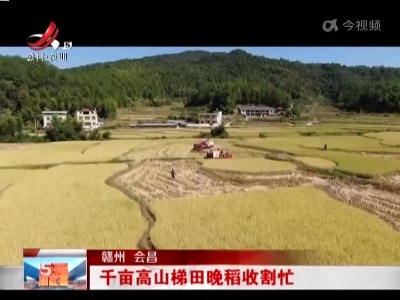 五哥帮忙团20221028