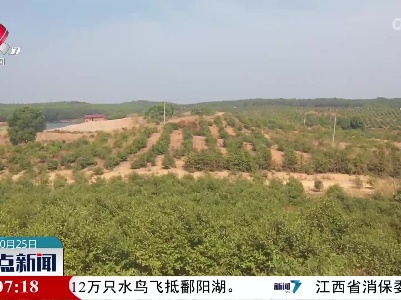 整点新闻20221025 14:00