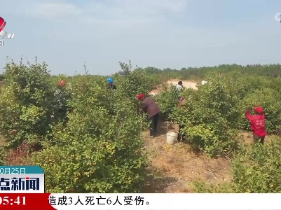 整点新闻20221025 16:00