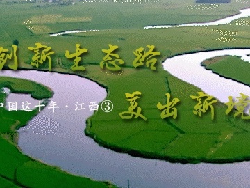 中国这十年·江西③丨 创新生态路 美出新境界！