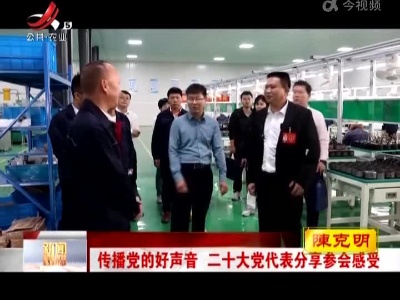 传播党的好声音 二十大党代表分享参会感受