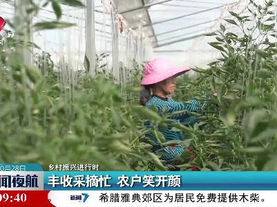 【乡村振兴进行时】丰收采摘忙 农户笑开颜