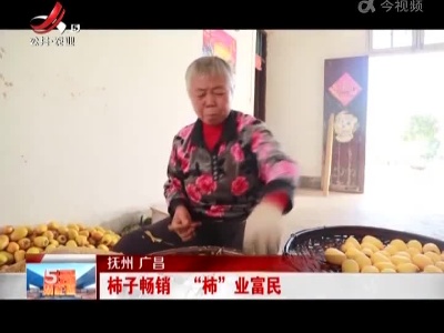 抚州广昌：柿子畅销 “柿”业富民