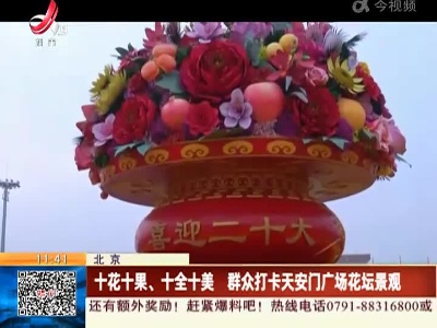 北京：十花十果、十全十美 群众打卡天安门广场花坛景观