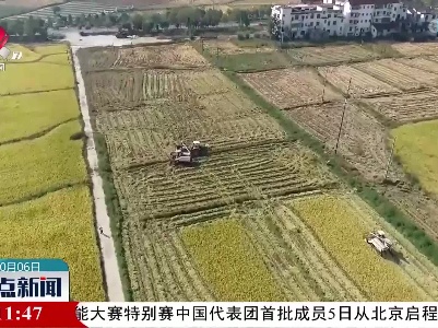 整点新闻20221006 16:00