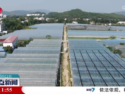 整点新闻20221011 14:00