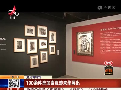 【遇见博物馆】190余件毕加索真迹来华展出