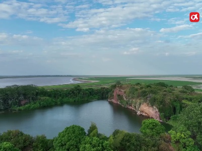 提前备足口粮，鄱阳湖夏候鸟“流连忘返”