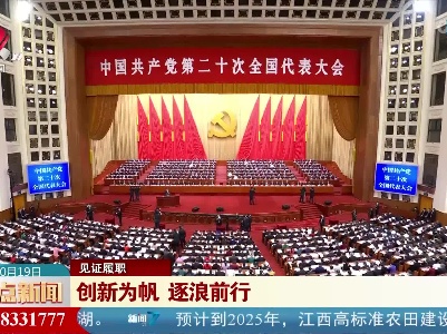 【见证履职】创新为帆 逐浪前行