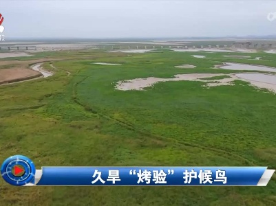 社会传真20221024 久旱“烤验”护候鸟