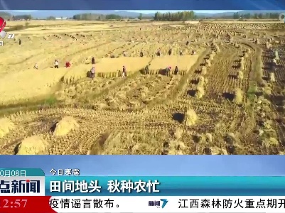 【今日寒露】田间地头 秋种农忙