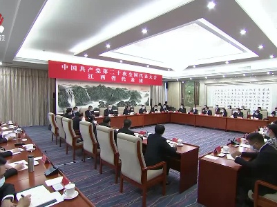【直通二十大】党的二十大江西省代表团举行全体会议 易炼红叶建春出席 推选团长副团长秘书长