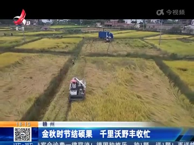 赣州：金秋时节结硕果 千里沃野丰收忙