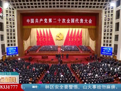 整点新闻20221017 10:00