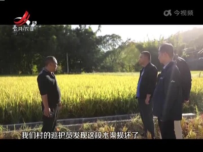 赣州 赣县区：“智慧田管家” 为农田管护赋能