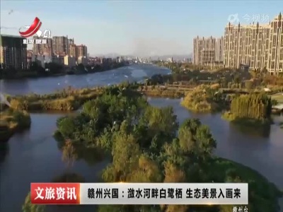 赣州兴国：潋水河畔白鹭栖 生态美景入画来