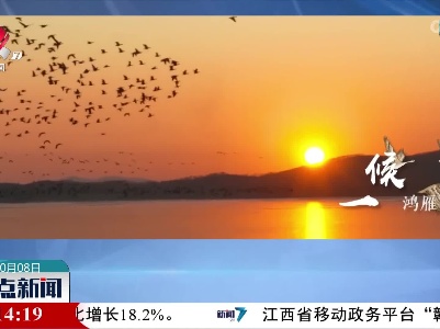 【今日寒露】寒露有三候