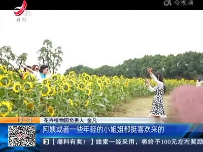 北京：登长城赏红叶 乐享如画金秋