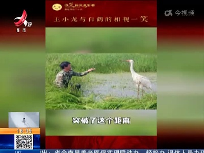【你笑起来真好看】王小龙与白鹤的相视一笑