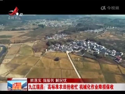 【抓落实 强服务 解民忧】九江瑞昌：高标准农田抢收忙 机械化作业降损保收