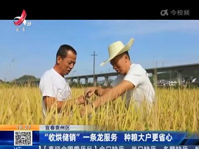 宜春袁州区：“收烘储销”一条龙服务 种粮大户更省心