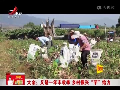 新闻晚高峰20221026