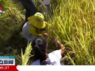 【国庆假期·乡村游】萍乡：假期体验“劳动美”