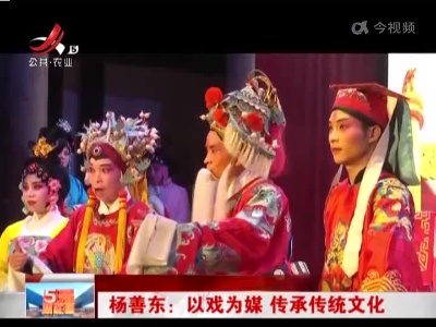 杨善东：以戏为媒 传承传统文化