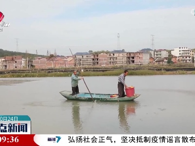【乡村振兴进行时】分宜：小螃蟹托起乡村大振兴
