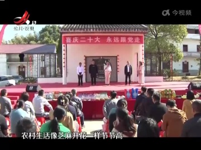 宜春高安：秀美乡村 家门口的幸福生活