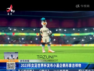 2023年女足世界杯发布小蓝企鹅形象吉祥物