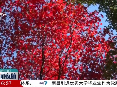 庐山植物园：秋色斑斓百色园